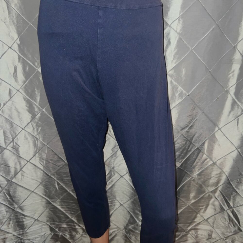 Time and Tru Plus Size‎ Navy Blue Leggings Sz. 2XL *ER1
